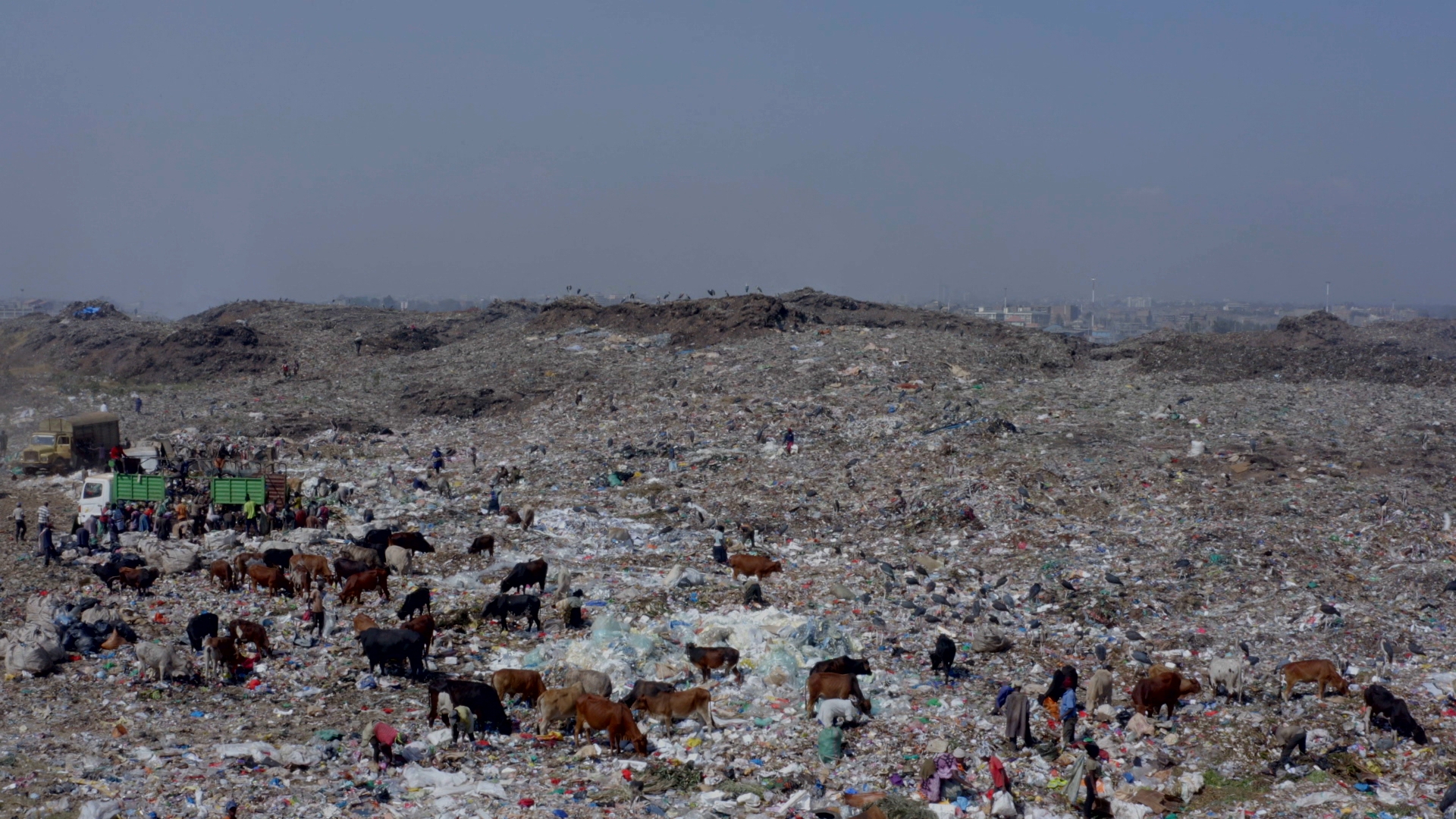 Sur Le Front La Face Cachée Du Recyclage SUR LE FRONT : LA FACE CACHÉE DU RECYCLAGE | FranceTvPro.fr